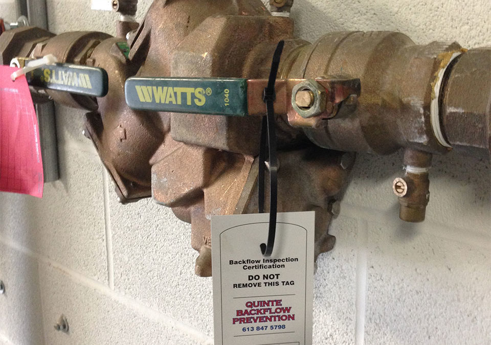 newly installed backflow preventer