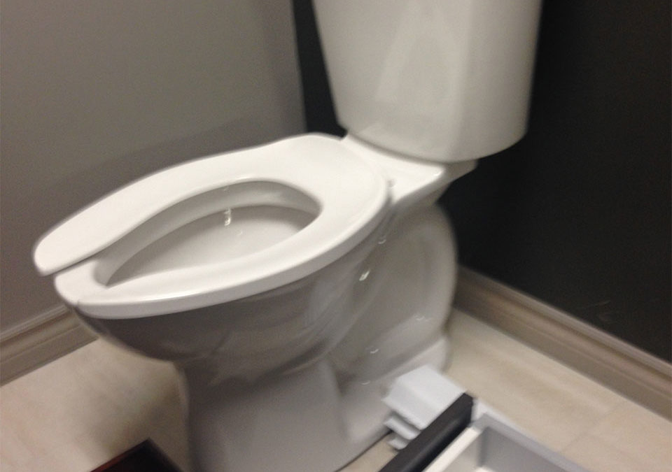 newly installed toilet